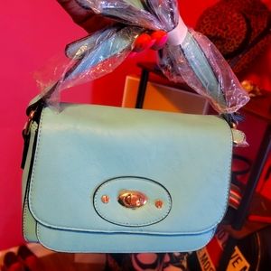 Light Blue purse